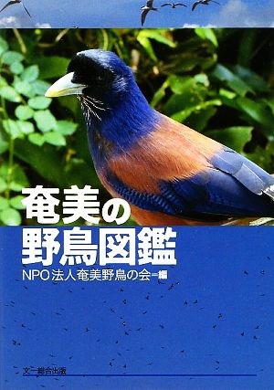 奄美の野鳥図鑑