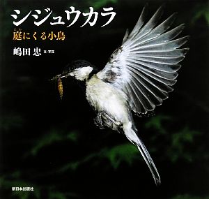 シジュウカラ 庭にくる小鳥 日本の野鳥