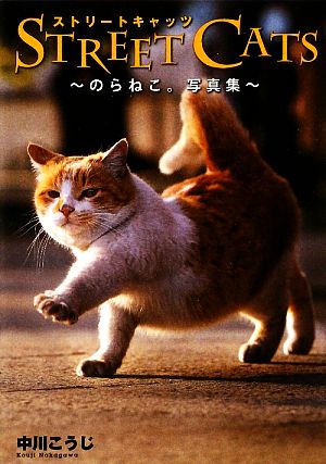 STREET CATS のらねこ。写真集