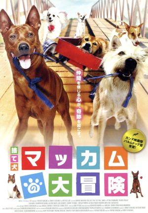 捨て犬マッカムの大冒険