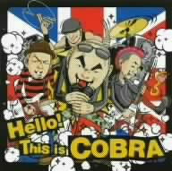 Hello！ This is COBRA