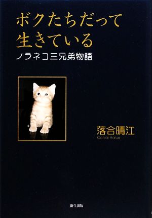 ボクたちだって生きている ノラネコ三兄弟物語