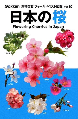 日本の桜フィールドベスト図鑑Vol.10