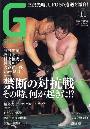 G SPIRITS(Vol.11) タツミムック