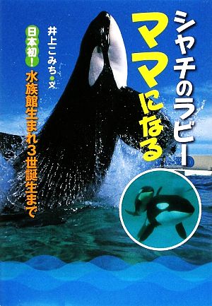 シャチのラビー ママになる日本初！水族館生まれ3世誕生まで