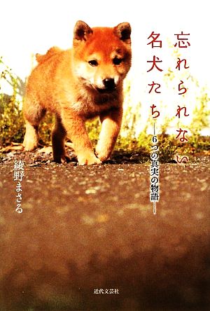 忘れられない名犬たち 6つの真実の物語