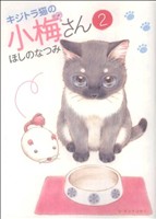 キジトラ猫の小梅さん(2)ねこぱんちC