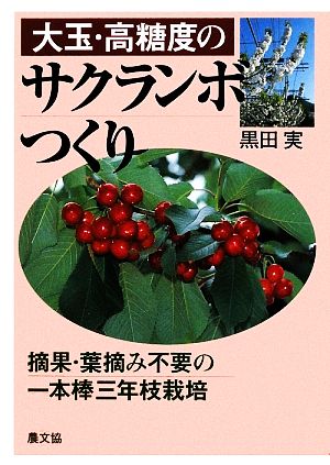 大玉・高糖度のサクランボつくり 摘果・葉摘み不要の一本棒三年枝栽培