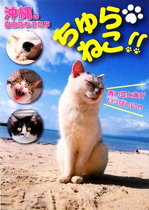 ちゅらねこ!! 沖縄の自由なねこたち TOKIMEKIねこシリーズ