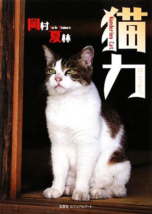 猫力 Wandering Cat