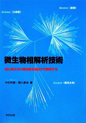 微生物相解析技術 目に見えない微生物を遺伝子で解析する