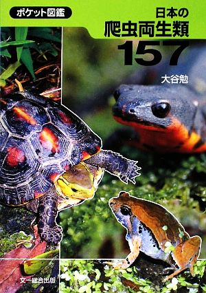 日本の爬虫両生類157