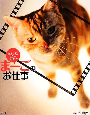 テレビねこ まーごのお仕事