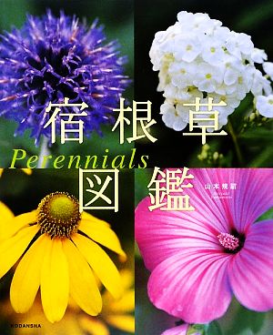 宿根草図鑑 Perennials