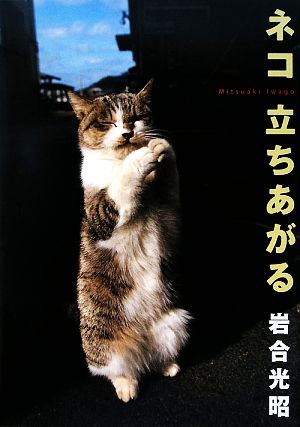 ネコ立ちあがる ニッポンの猫写真集