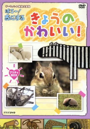 NHK DVD ダーウィンの動物大図鑑 はろ～！あにまる きょうのかわいい！ プリティBOX