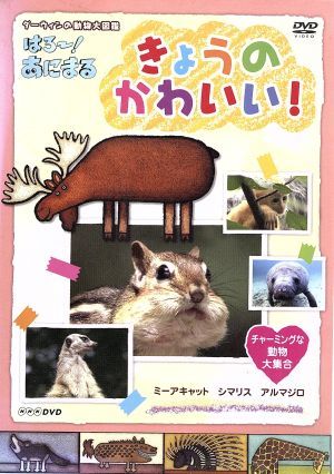 NHK DVD ダーウィンの動物大図鑑 はろ～！あにまる きょうのかわいい！ チャーミングな動物大集合～ミーアキャット・シマリス・アルマジロ～