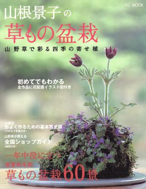 山根景子の草もの盆栽