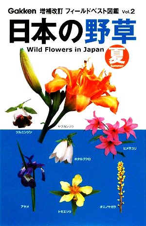 日本の野草 夏 増補改訂版フィールドベスト図鑑vol.2
