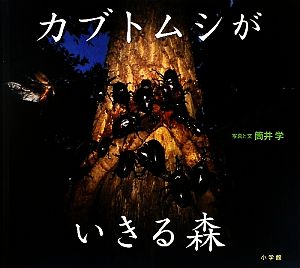 カブトムシがいきる森 小学館の図鑑NEOの科学絵本