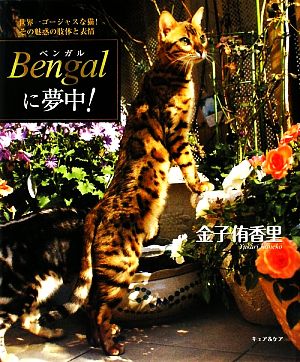 Bengalに夢中！ 世界一ゴージャスな猫！その魅惑の肢体と表情