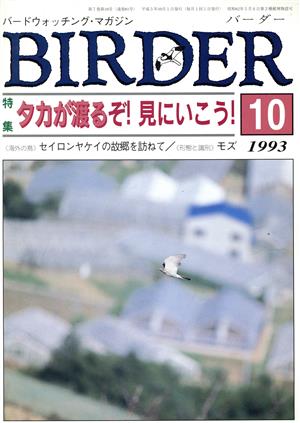 BIRDER 10月号