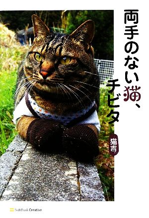 両手のない猫、チビタ