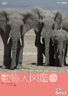 はろ～あにまる！動物大図鑑 1 アフリカ編