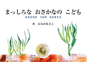 まっしろなおさかなのこども おきなわのうみのなかまたち