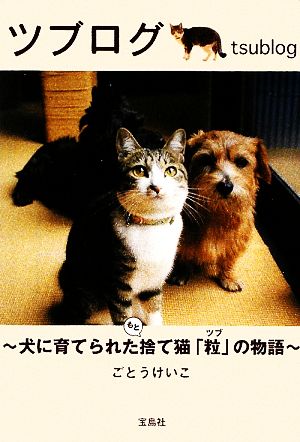 ツブログ 犬に育てられたもと捨て猫「粒」の物語 宝島SUGOI文庫