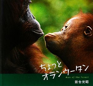 写真集 ちょっとオランウータン