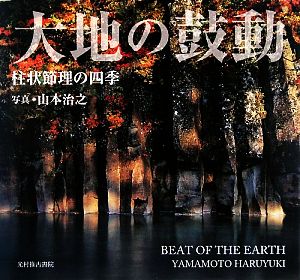 大地の鼓動 柱状節理の四季