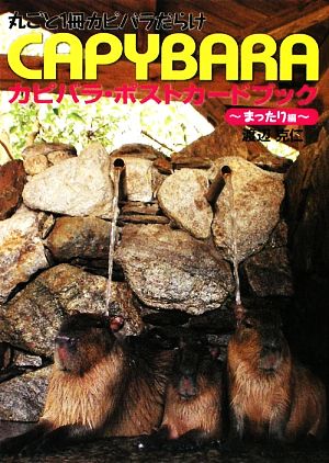 カピバラ・ポストカードブック まったり編 丸ごと1冊カピバラだらけ