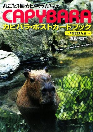 カピバラ・ポストカードブック のほほん編 丸ごと1冊カピバラだらけ