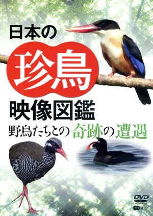 シンフォレストDVD 日本の珍鳥映像図鑑 野鳥たちとの奇跡の遭遇