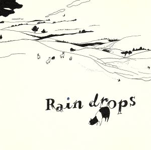 Raindrops