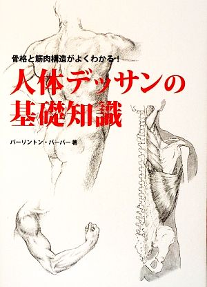 人体デッサンの基礎知識 骨格と筋肉構造がよくわかる！