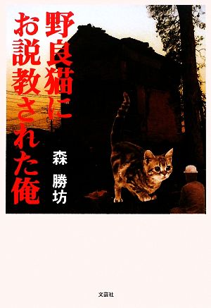 野良猫にお説教された俺