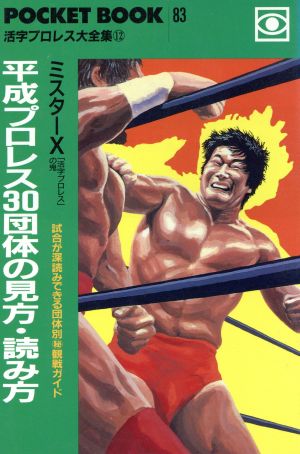 平成プロレス30団体の見方・読み方