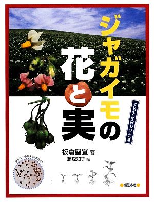 ジャガイモの花と実 オリジナル入門シリーズ5