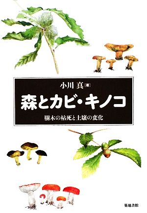 森とカビ・キノコ樹木の枯死と土壌の変化