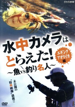 水中カメラはとらえた！ 魚VS釣り名人 エギング アオリイカ編