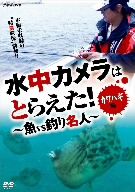 水中カメラはとらえた！ 魚VS釣り名人 カワハギ編