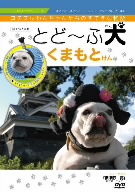 とど～ふ犬 くまもとけん