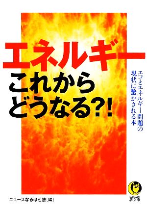 エネルギーこれからどうなる?! エコとエネルギー問題の現状に驚かされる本 KAWADE夢文庫