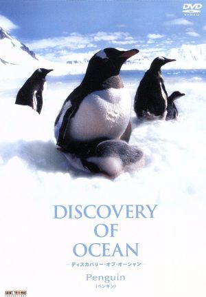 ディスカバリー・オブ・オーシャン ペンギン