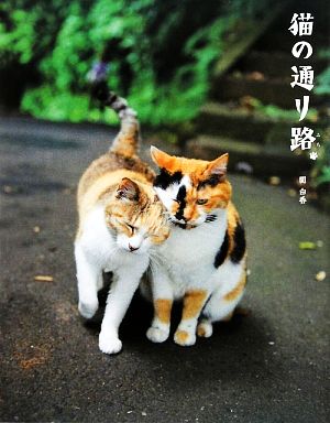 猫の通り路