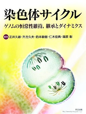 染色体サイクル ゲノムの恒常性維持、継承とダイナミクス