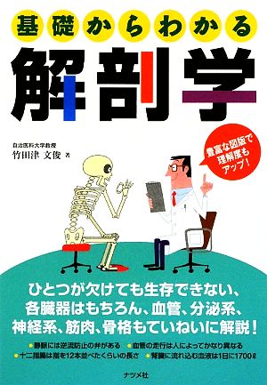 基礎からわかる解剖学