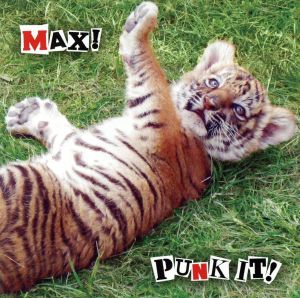 PUNK IT！ MAX！ LIMITED EDITION(DVD付)